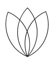 Floral Geometric Pattern