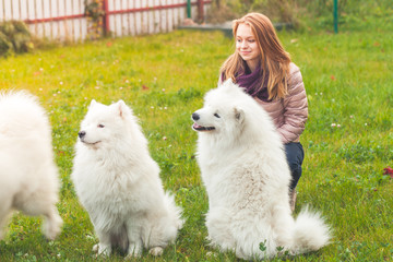 Happy teenage girl with white Samoyed dogs