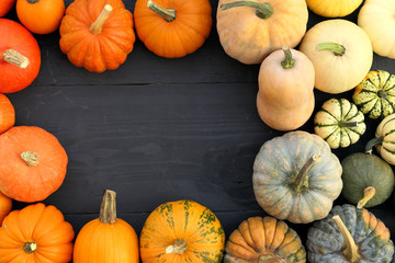 Frame made of colorful pumpkins and squashes