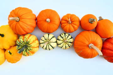 Pumpkins and squashes varieties food frame