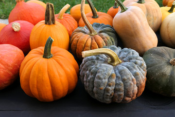 Pumpkins and squashes