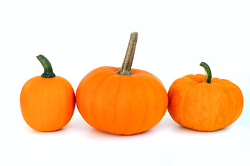 Orange pumpkins isolated