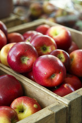 Fresh red apples in the wooden box