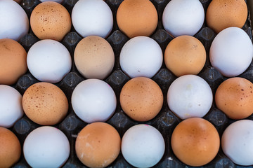 Brown and white eggs in Market © nedomacki