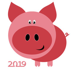 Chinese new year card for 2019 with pig on white background.