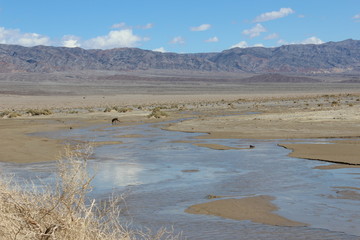 Death Valley
