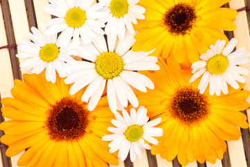 Obraz premium Envelope of kraft paper with a blank message and with beautiful daisies flowers
