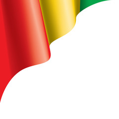 guinea flag, vector illustration on a white background © butenkow