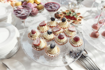 Sweet mini cakes with cream custard and berries under powdered sugar on the festive table of candy bar and fresh berries. Sweets on a buffet table. puddings, and cream souffle.