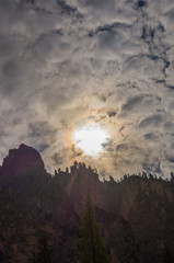 Bäume auf Dolomiten im Gegenlicht