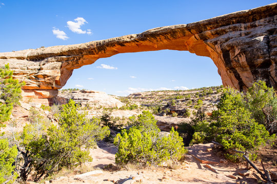 Fototapeta Owachomo Bridge in Natural Bridges National Monument, Utah, USA