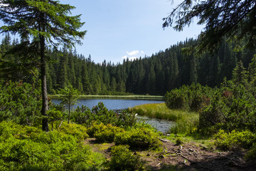 beautiful mountain lake in the Carpathians