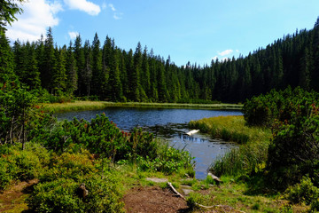 beautiful mountain lake in the Carpathians