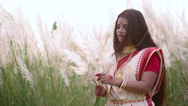 A happy and beautiful Indian bengali woman plays with the long white grass Kaash phool in a field wearing saree at sunset or sunrise, Slow motion Saccharum Spontaneum