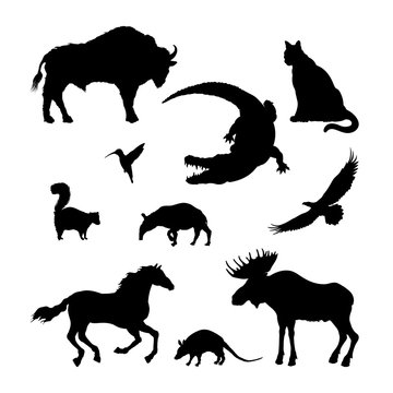 Black silhouettes of North American animal. Isolated image of elk, bison, crocodile on white background. Wildlife graphic