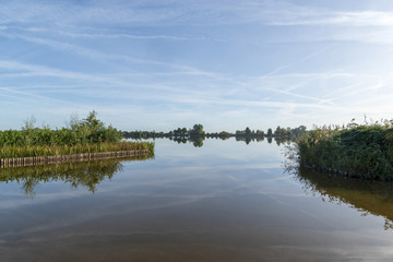 Peat landscape in the green heart of the Netherlands with reflecting water in a puddle.