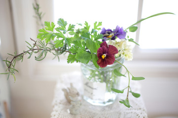 インドアグリーン　緑と花