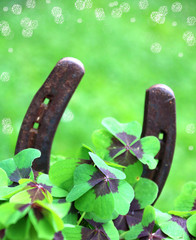 kleeblätter und hufeisen