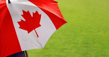 Canada flag umbrella. Close up of printed umbrella over green grass lawn / field. Rainy weather...