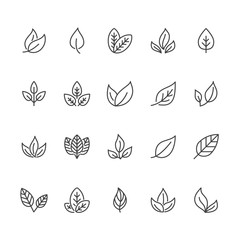 Leaf flat line icons. Plant, tree leaves illustrations. Thin signs of organic food, natural material, bio ingredient, eco concept. Pixel perfect 64x64.
