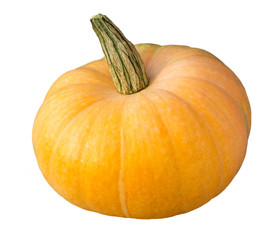 Pumpkin isolated on white with clipping path. Autumn halloween pumpkin