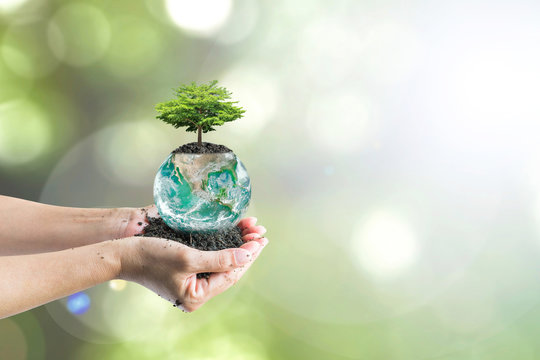 World soil day concept with tree planting on green globe: Elements of this image furnished by NASA