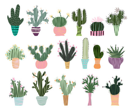 Cactuses and succulents set. Cacti in flowerpots isolated on white background. Vector illustration