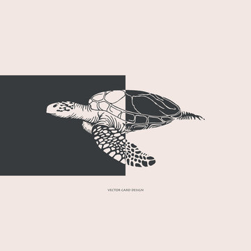 Vector illustration.Sea turtle silhouette. Vector card. Cover design.
