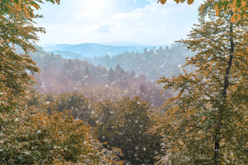 Erster Schneefall des Jahres in einem herbstlichen Wald