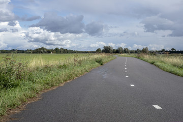 Beautiful bicycle road, bike lane, with road lines, surrounded by green pasture, under a cloudy sky and trees at the horizon.