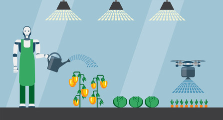 Robot and drone are watering vegetables in a greenhouse. Smart farming