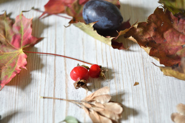Autumn background on white rustic surface. Contains dried leaves, berries, fresh harvest of fruits and vegetables.