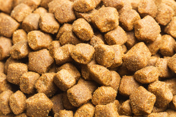 Alimento para perros  en primer plano. Vista superior y de cerca