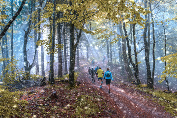 Joggen beim ersten Schneefall im Herbst, stimmungsvolles Waldpanorama 