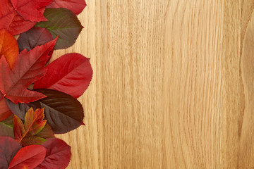 Naklejka na ściany i meble Autumn red leaves frame on oak wooden background