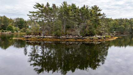 lake in forest