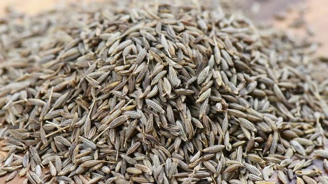 Tiny seed of caraway panning