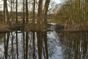 reflectie van bomen in een vennetje in natuurgebied bij de Kruisbergse bossen