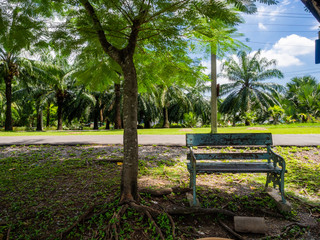 Naklejka premium OLYMPUS DIGITAL CAMERA