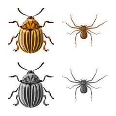 Vector illustration of insect and fly icon. Collection of insect and element vector icon for stock.