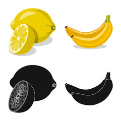 Vector design of vegetable and fruit icon. Collection of vegetable and vegetarian stock vector illustration.