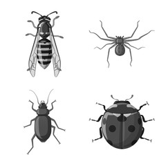 Isolated object of insect and fly logo. Collection of insect and element stock vector illustration.