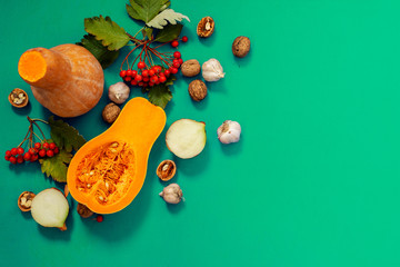Thanksgiving background - pumpkins and other on the green background