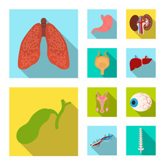 Vector design of body and human logo. Set of body and medical stock vector illustration.