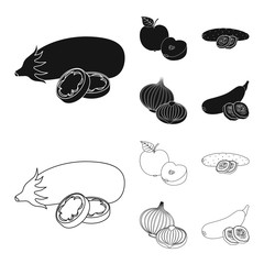 Vector illustration of vegetable and fruit logo. Collection of vegetable and vegetarian stock symbol for web.