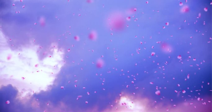 Very nice animation of "Sakura" cherry blossom petals being blown in the wind against a cloudy background.
Created by Arc1: www.arc1.eu