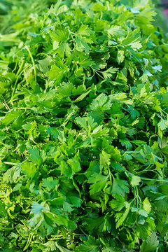 Fresh ingredients : parsley 