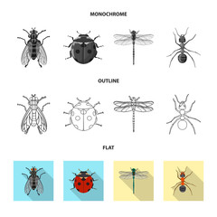 Vector illustration of insect and fly symbol. Set of insect and element vector icon for stock.