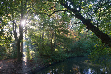 A hazy sun shines through a humid forest with pond in early autumn  