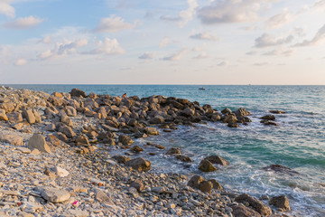 The wild sea beach with stones